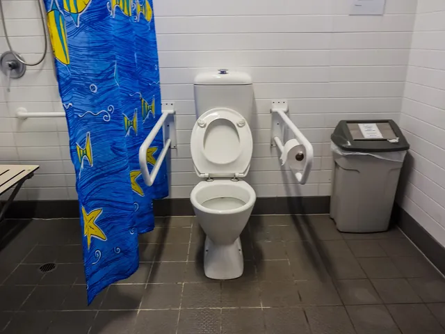 A Changing Places toilet with an adult change bench and rails